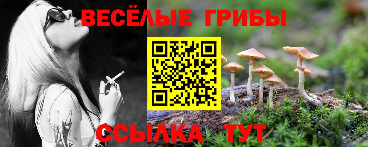 Галлюциногенные грибы Cubensis  Галлюциногенные грибы Psilocybe  Северск  Вход с VPN 